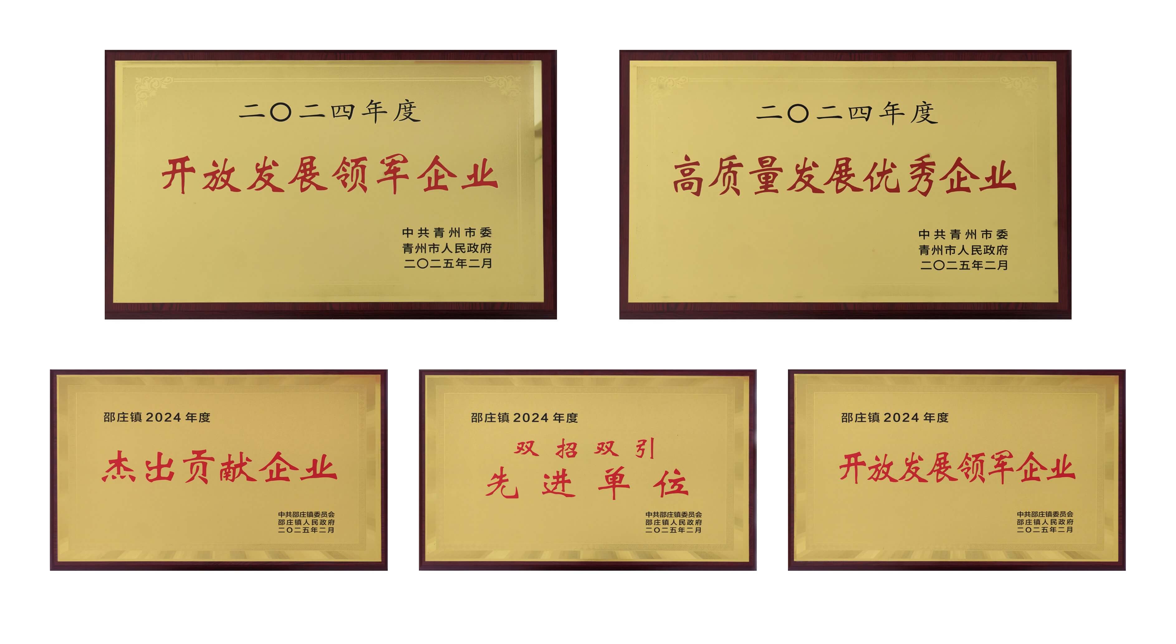 山东尊龙官方医疗荣获多项殊荣